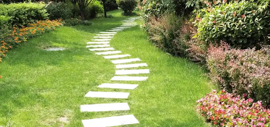 Natve Vegetation Path